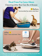 Odor remover with motion sensor for cat litter boxes