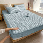 Hygienic Protection & Comfort
