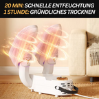 Electric Shoe Dryer - DryAir Pro
