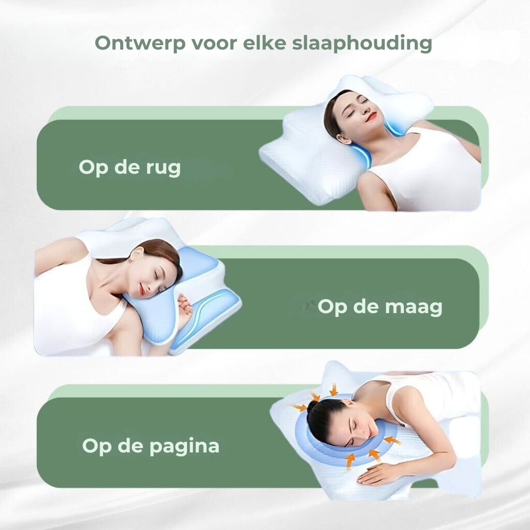 Orthopedic Pillow - DreamAlign