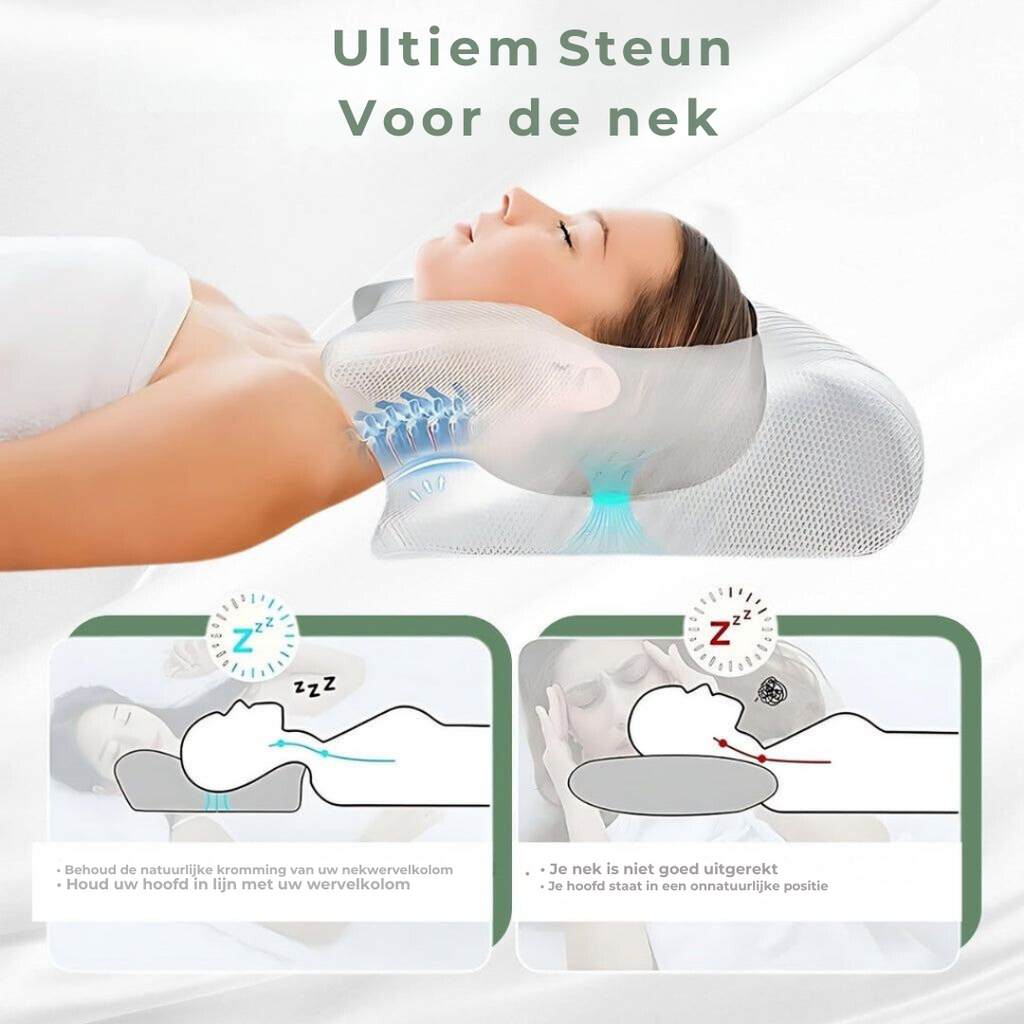 Orthopedic Pillow - DreamAlign