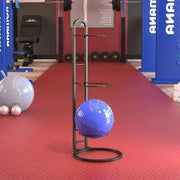 Storage Rack For Sports Balls