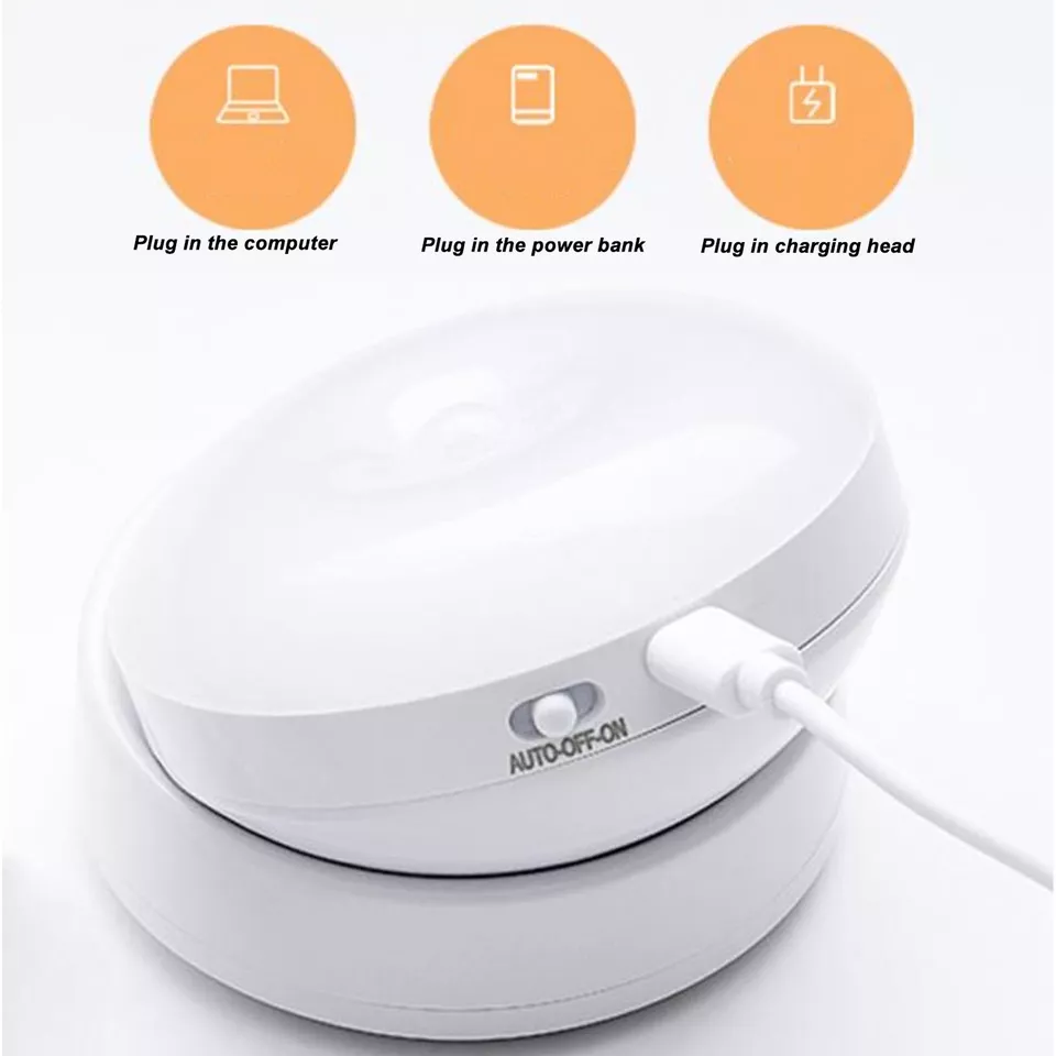 Indoor LED Motion Sensor Wall Light