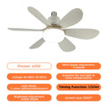 Ceiling Fan with LED Light