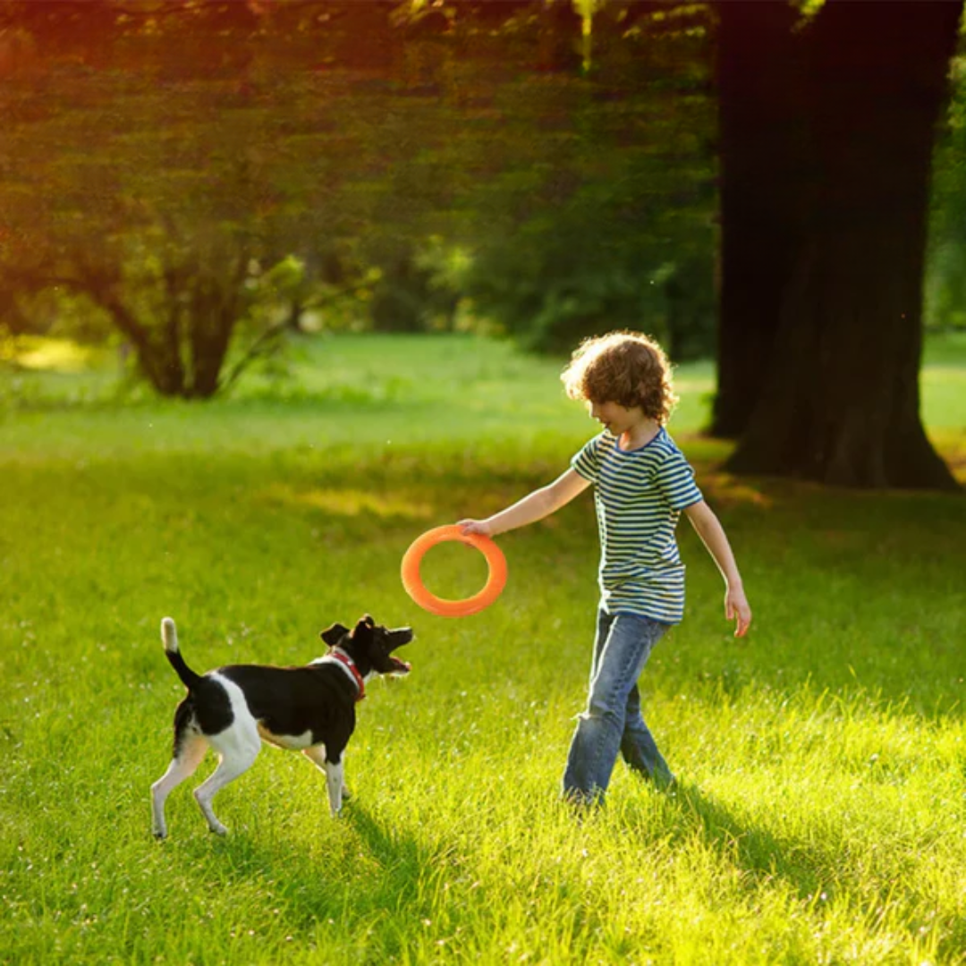 Floating EVA Training Ring for Dogs
