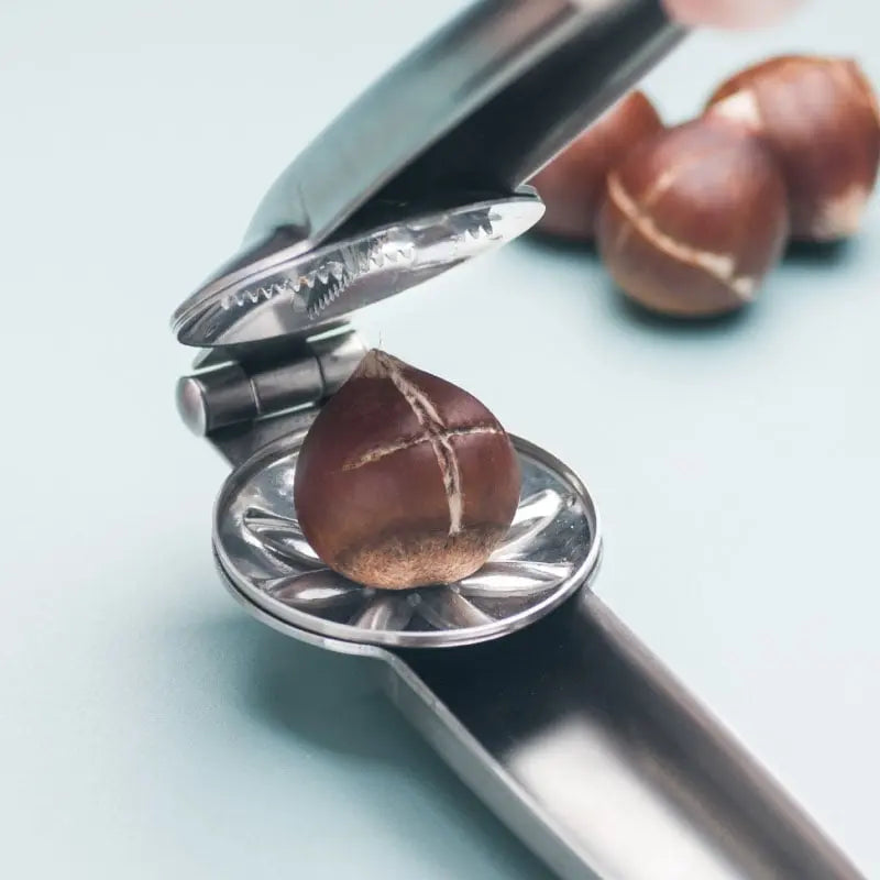 Stainless Steel Chestnut Peeler for Easy Shelling