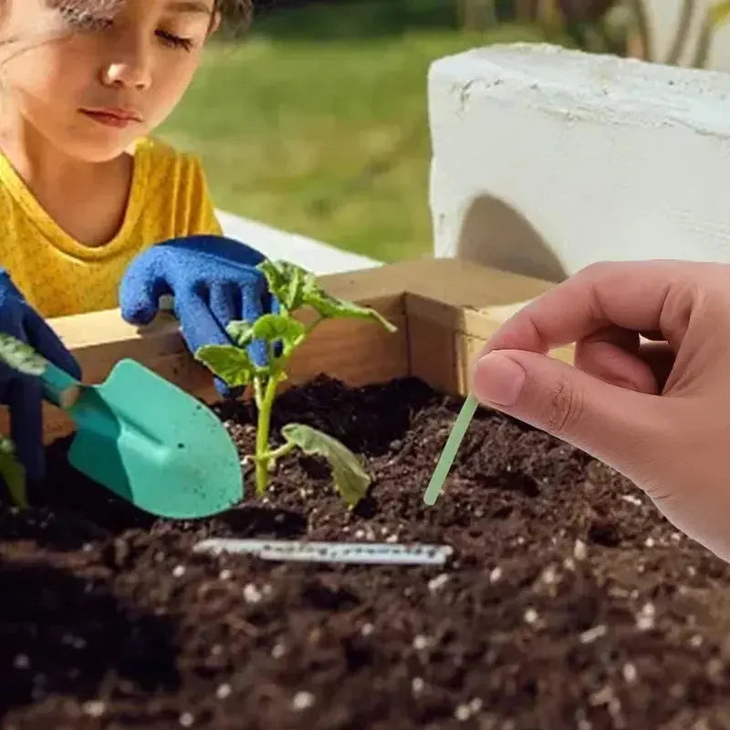 Easy-to-use plant nutrient sticks for vibrant growth