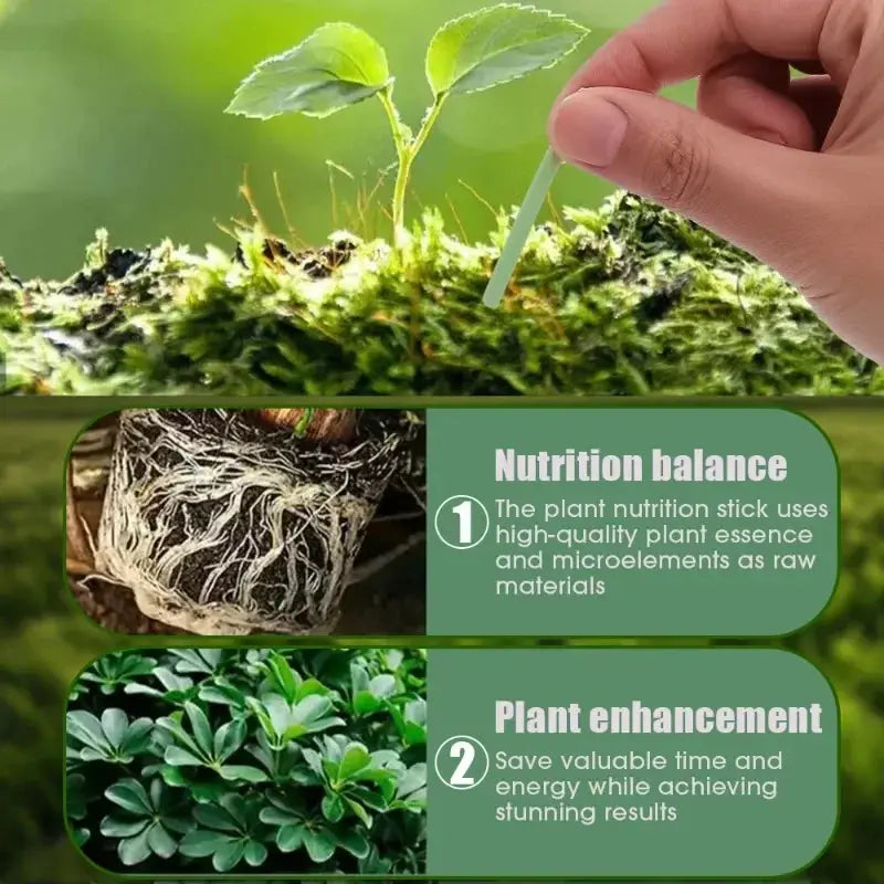Easy-to-use plant nutrient sticks for vibrant growth