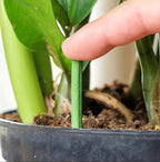 Easy-to-use plant nutrient sticks for vibrant growth