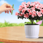 Easy-to-use plant nutrient sticks for vibrant growth