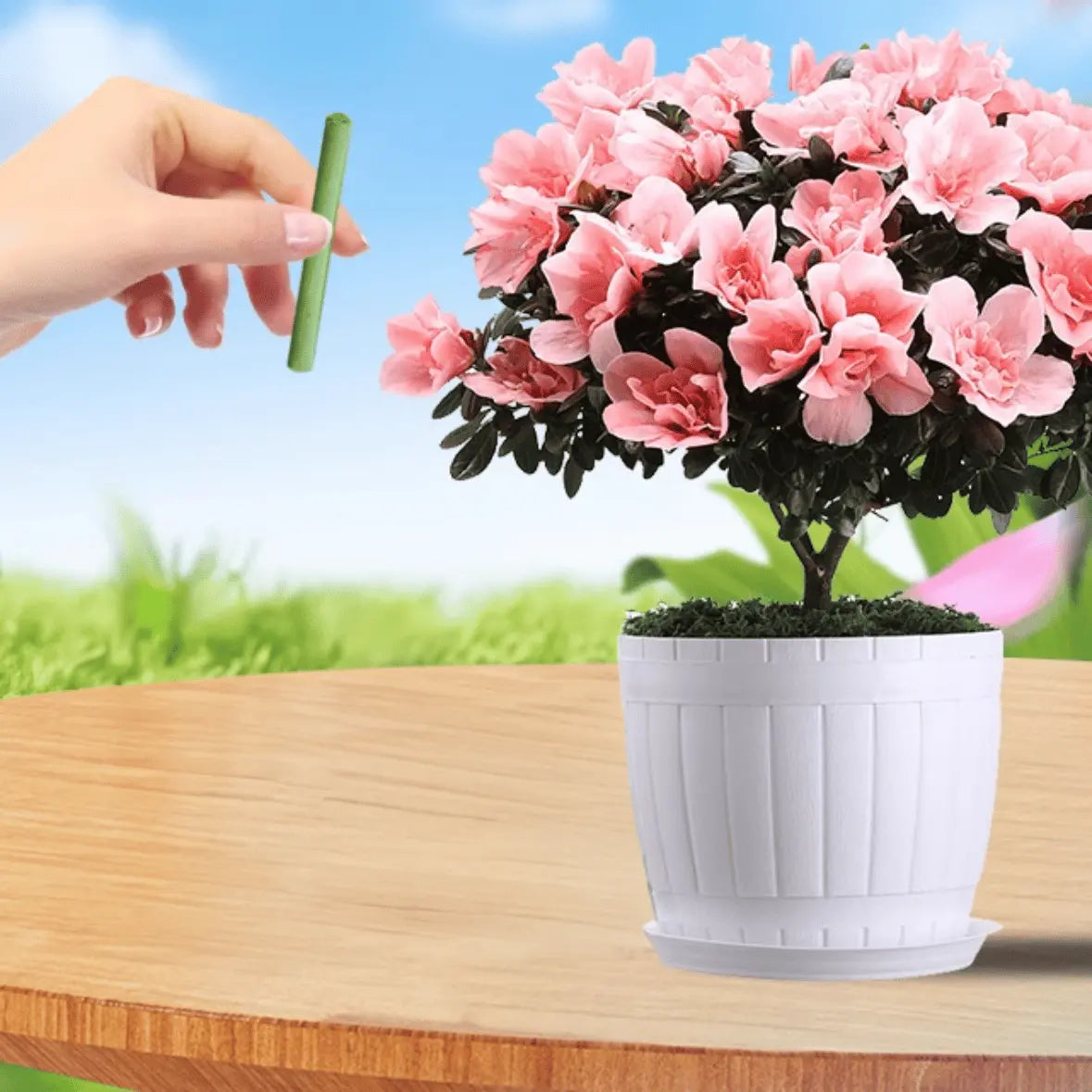 Easy-to-use plant nutrient sticks for vibrant growth
