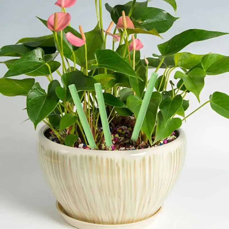 Easy-to-use plant nutrient sticks for vibrant growth