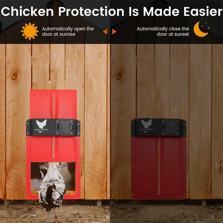 Poultry PRO+ | Automatic Chicken Door