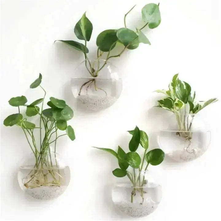 Elegant Glass Wall Vase – Minimalist Plant Holder