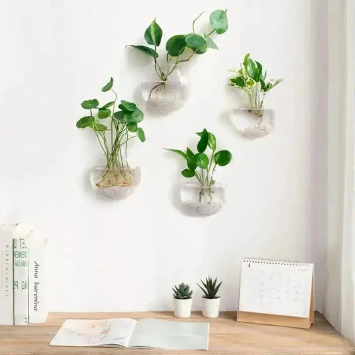 Elegant Glass Wall Vase – Minimalist Plant Holder