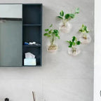 Elegant Glass Wall Vase – Minimalist Plant Holder
