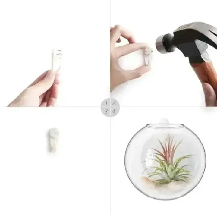 Elegant Glass Wall Vase – Minimalist Plant Holder