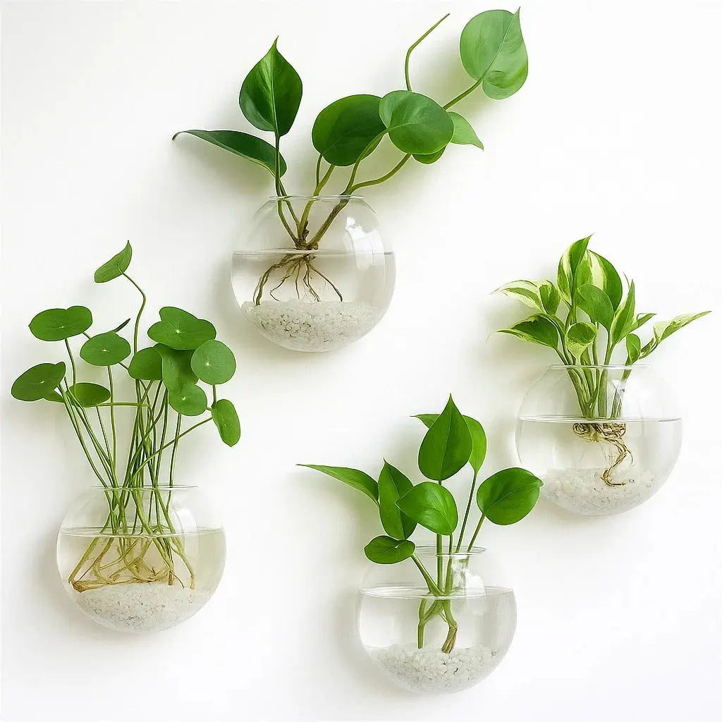Elegant Glass Wall Vases – For Cuttings & Decor