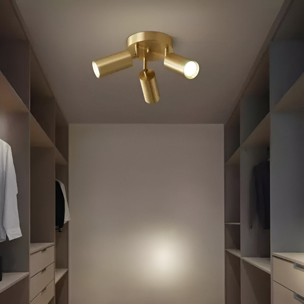 Brass LED Ceiling Lamp Modern Design