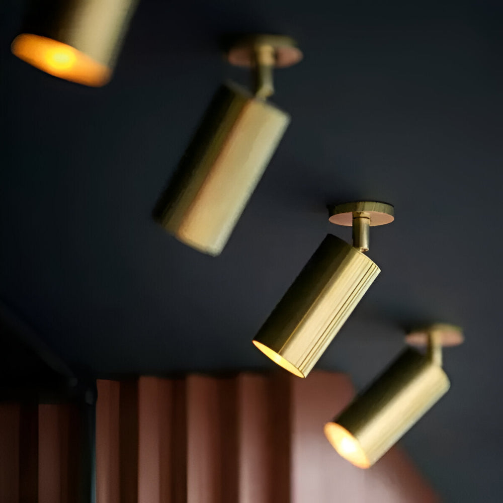 Brass LED Ceiling Lamp Modern Design