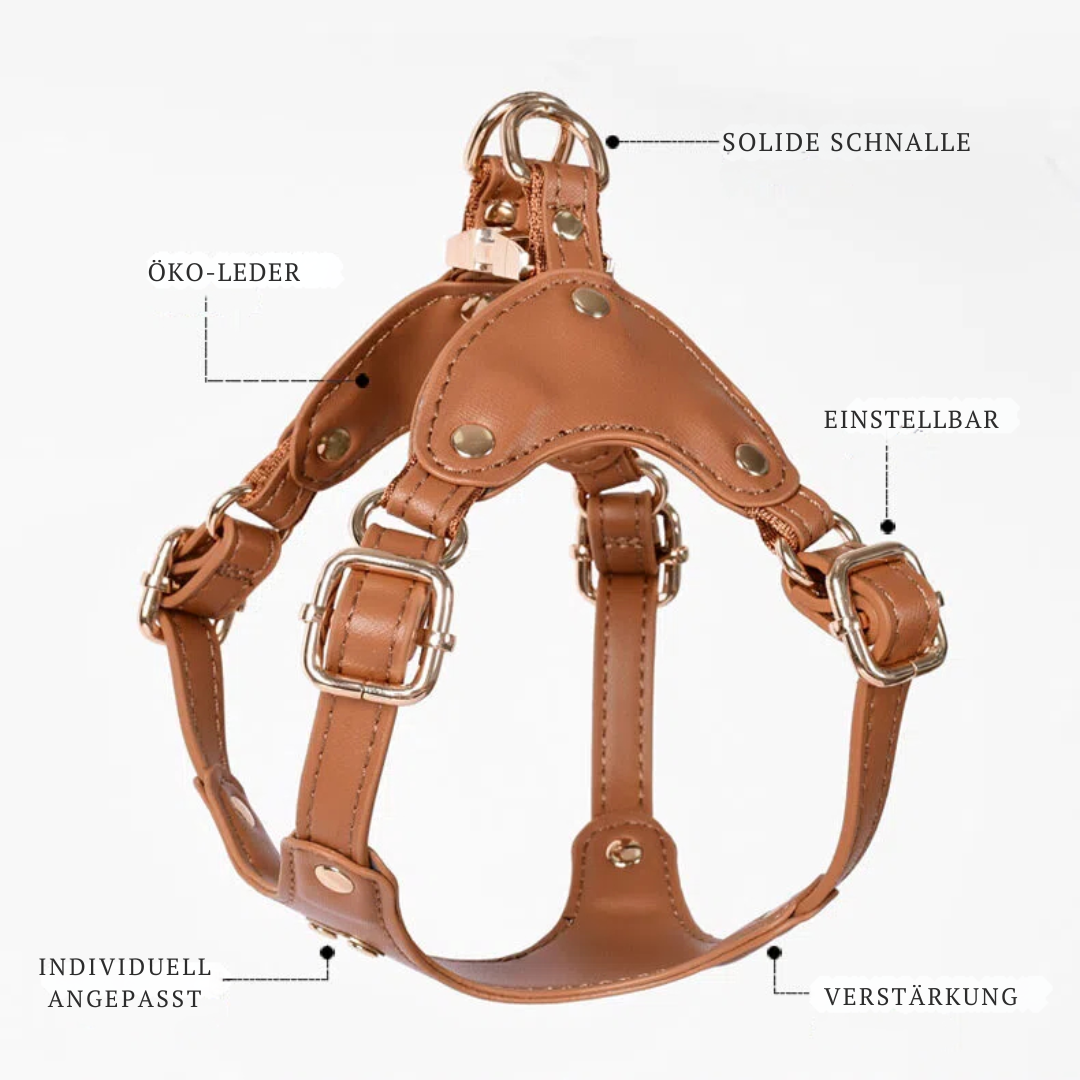 Adjustable Leather Dog Harness with Custom Engraving