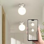 Evandale Ceiling Light
