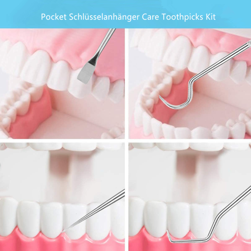 Toothpick set made of stainless steel (7 pcs)