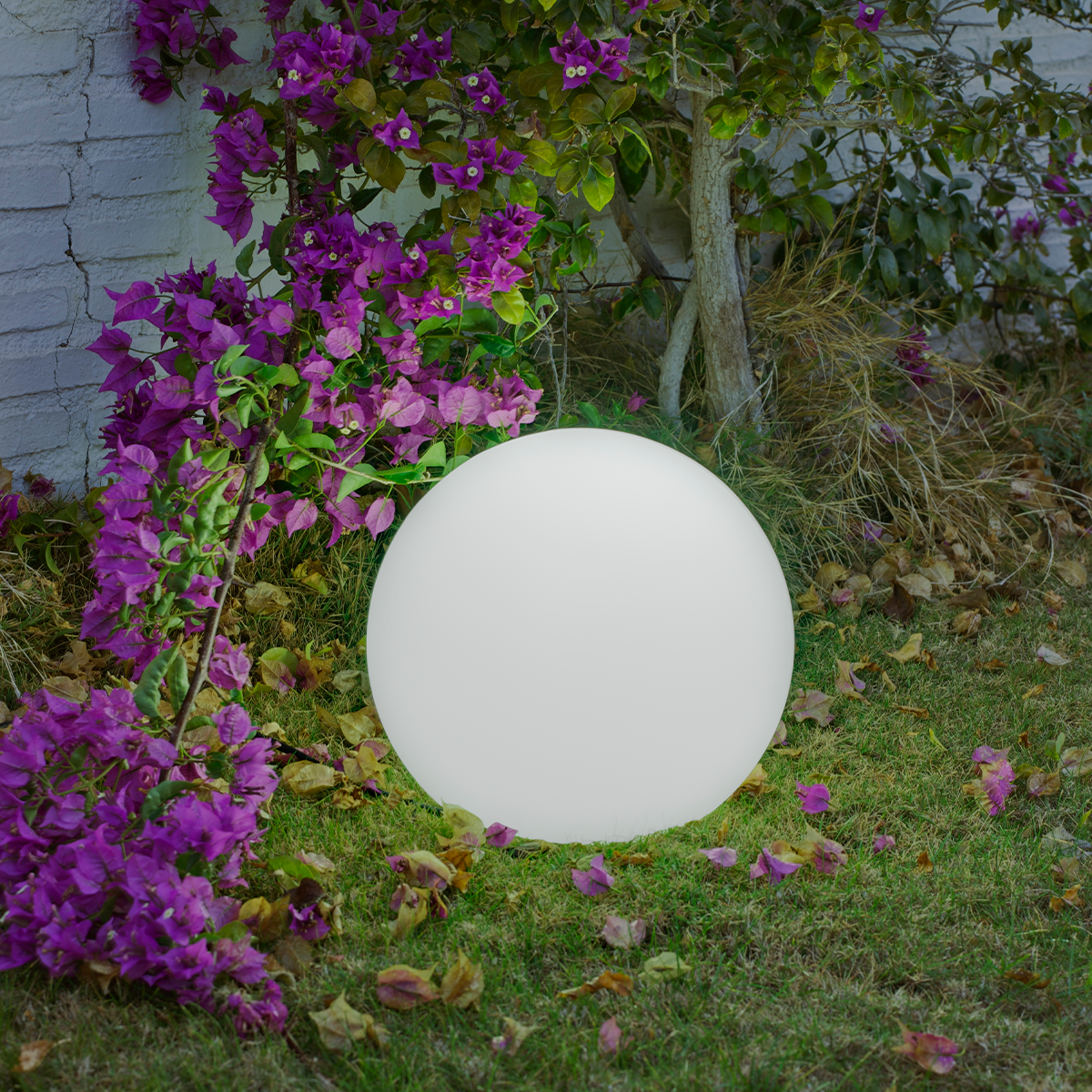 Shiny play ball in various sizes!