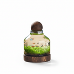 Compact Glass Micro Aquarium with 24 × 17 cm and 36 × 17 cm Options