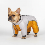 Warm & waterproof winter jacket for dogs with reflective stripes