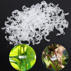 50/100/150pcs Plant Support Clips, Vine Vegetable Fastening Clips