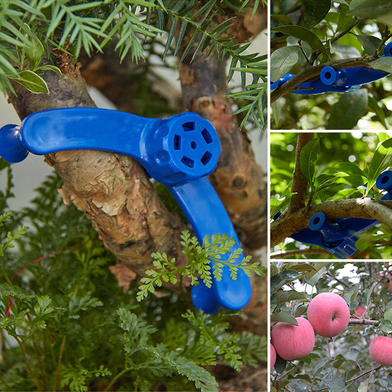 Fixative for branch modeling