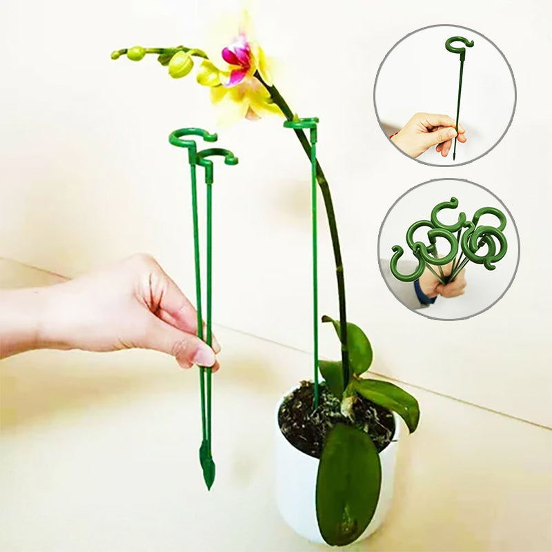 Plant support