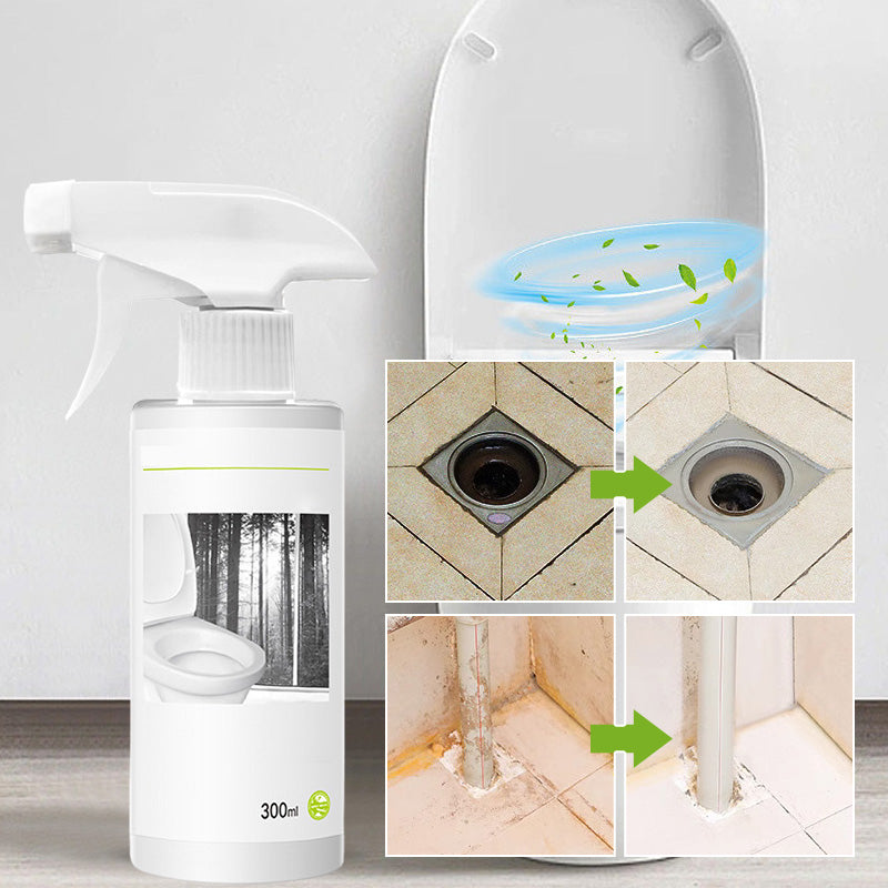Powerful Oxalic Acid Stain Toilet Glass Cleaner