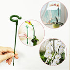 Plant Supports Stake