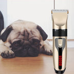 Professional Pet Hair Clipper Kit