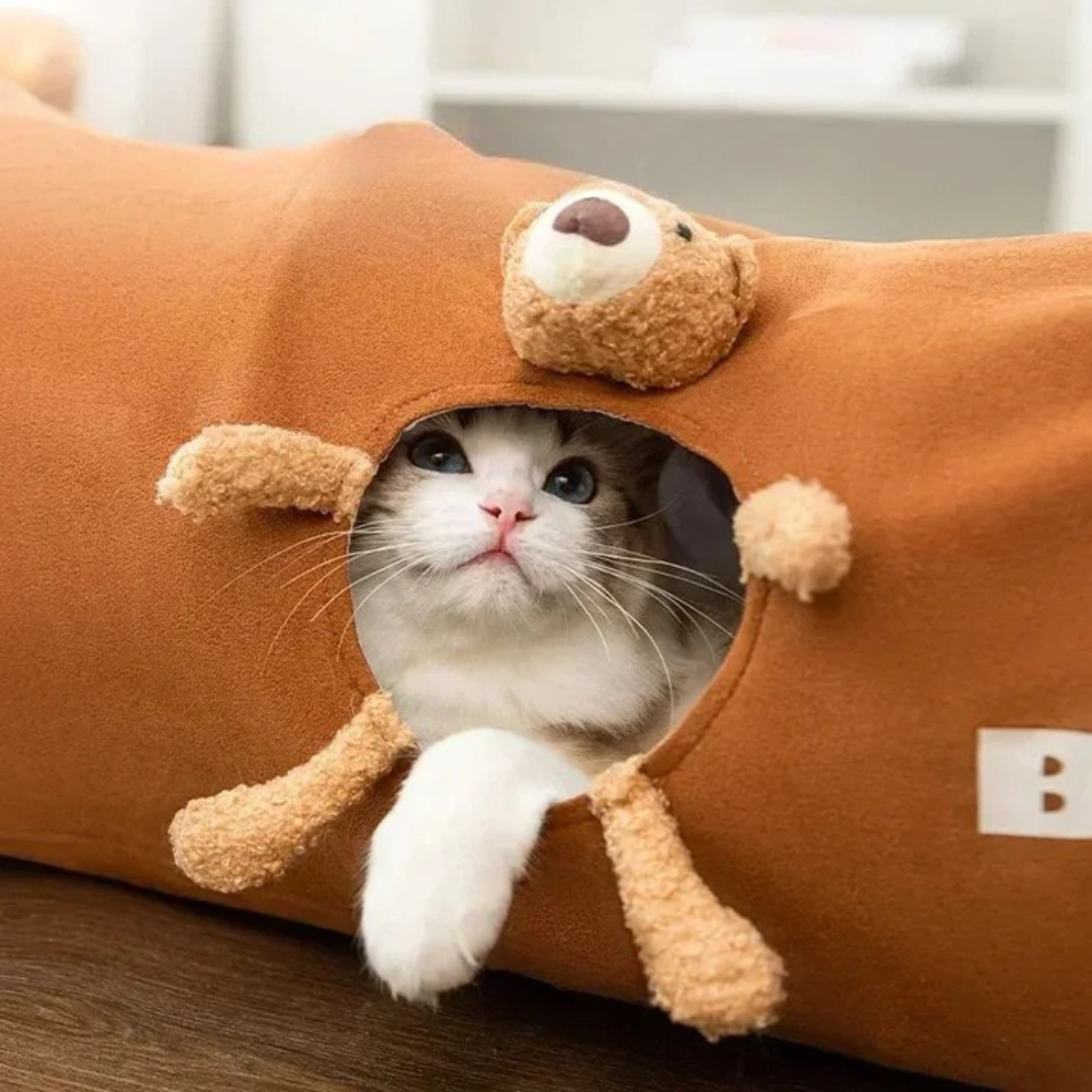 Collapsible cat tunnel for indoor cats to play and hide