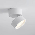 Adjustable Surface LED Ceiling Light Warm White