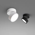 Adjustable Surface LED Ceiling Light Warm White