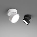 Favilla LED Ceiling Light with Adjustable Mechanism