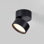 Favilla LED Ceiling Light with Adjustable Mechanism