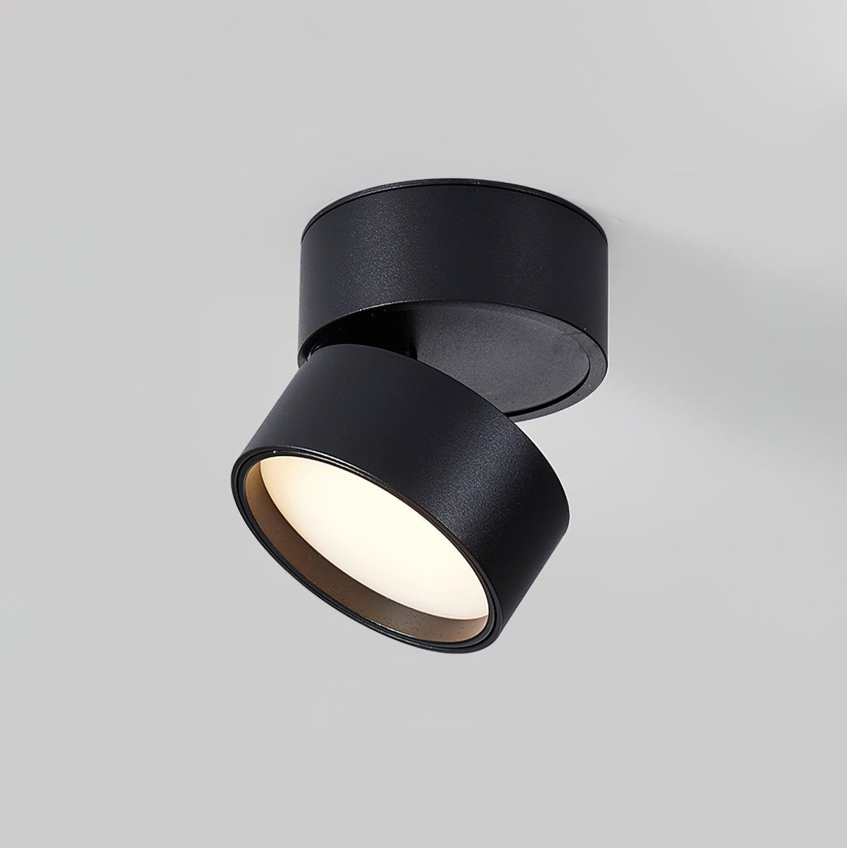Favilla LED Ceiling Light with Adjustable Mechanism