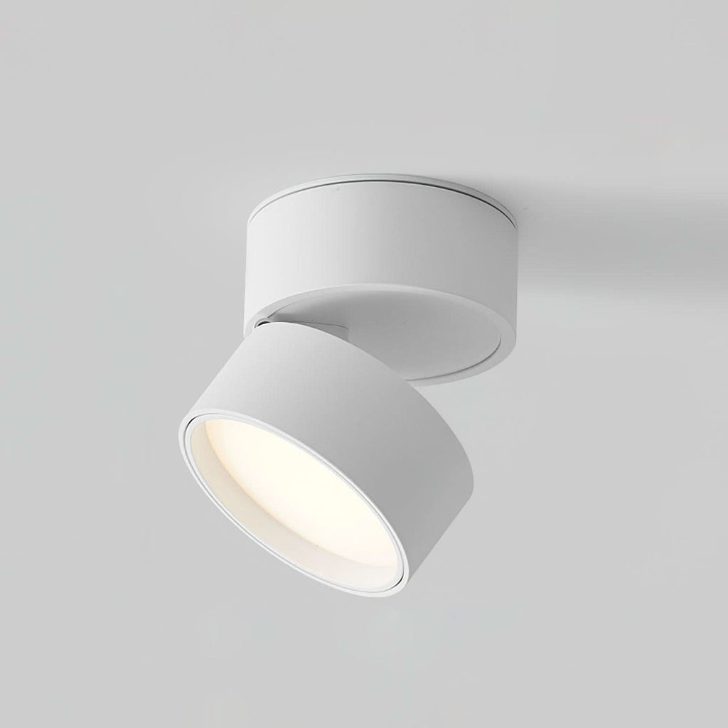 Adjustable Surface LED Ceiling Light Warm White