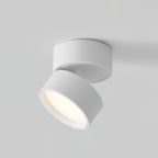 Adjustable Surface LED Ceiling Light Warm White