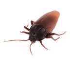 Remote-controlled Cockroach – Realistic Crawling Effect with Glowing Eyes