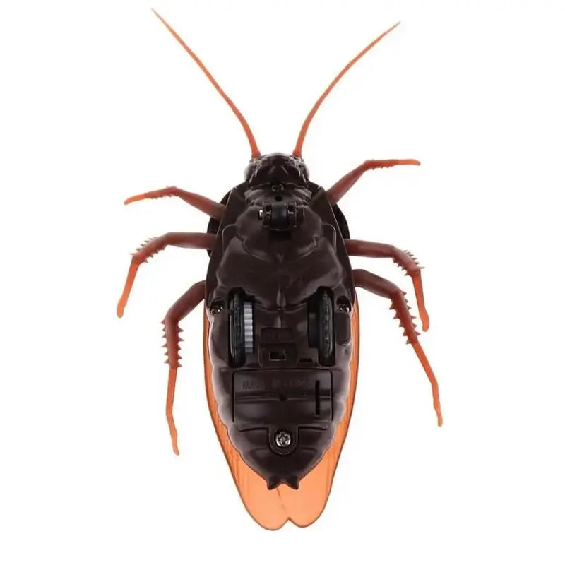 Remote-controlled Cockroach – Realistic Crawling Effect with Glowing Eyes