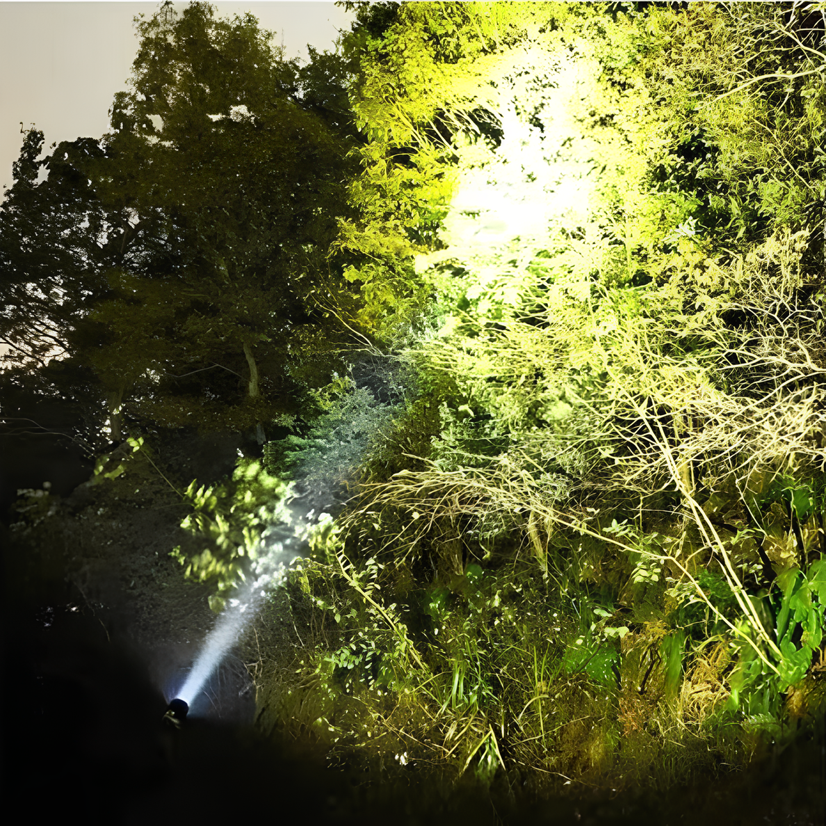 Rechargeable LED Flashlight with Zoom Beam, Up to 500 m Range