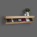 Designer secret shelf with hidden space