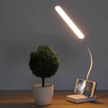 FlexiLight Desk Lamp