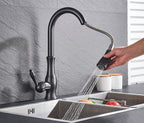 SinkFlow Pull-Out Kitchen Faucets for Modern Kitchens